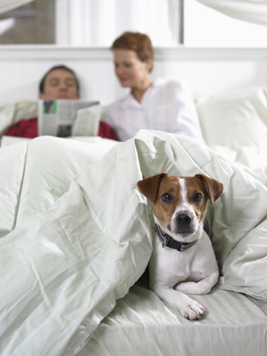 Family with their dog.